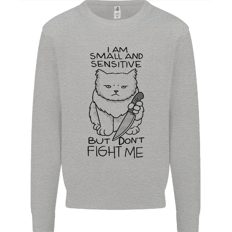 Cat Dont Fight Me Funny Mens Sweatshirt Jumper Hoodie with Patch Decorative Personalized