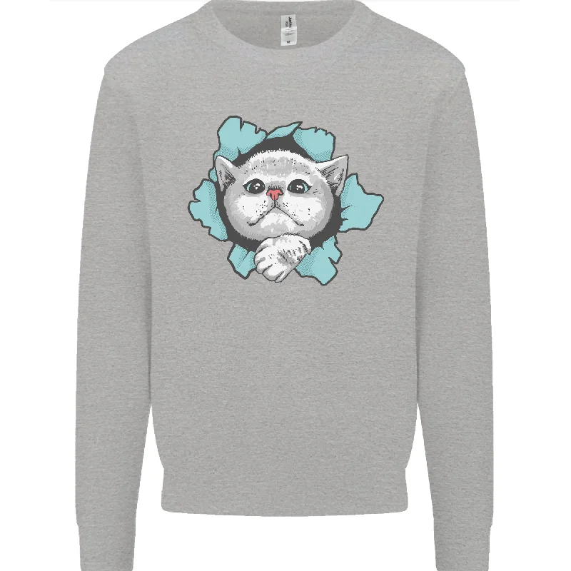 Cat Hole Mens Sweatshirt Jumper Hoodie with Color Block Contrast Stylish